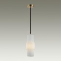Подвесной светильник Odeon Light 5020/1