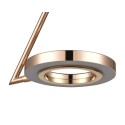 Подвесной светильник Vele Luce VL7304P21